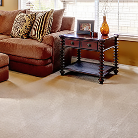 Jiffy Steamer - limpieza de alfombras