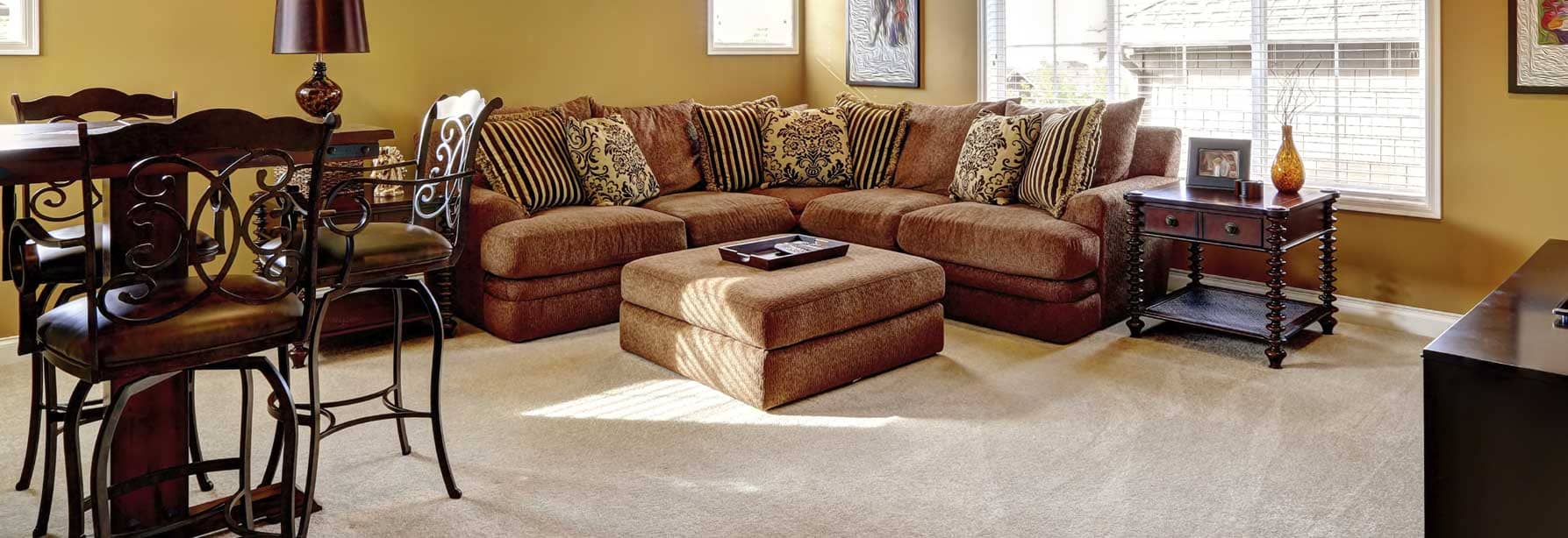 Jiffy Steamer - Soluciones Limpieza de moquetas